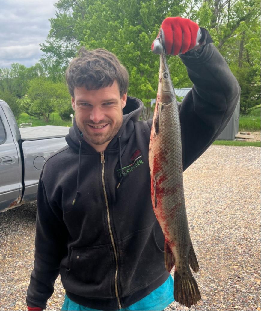fish