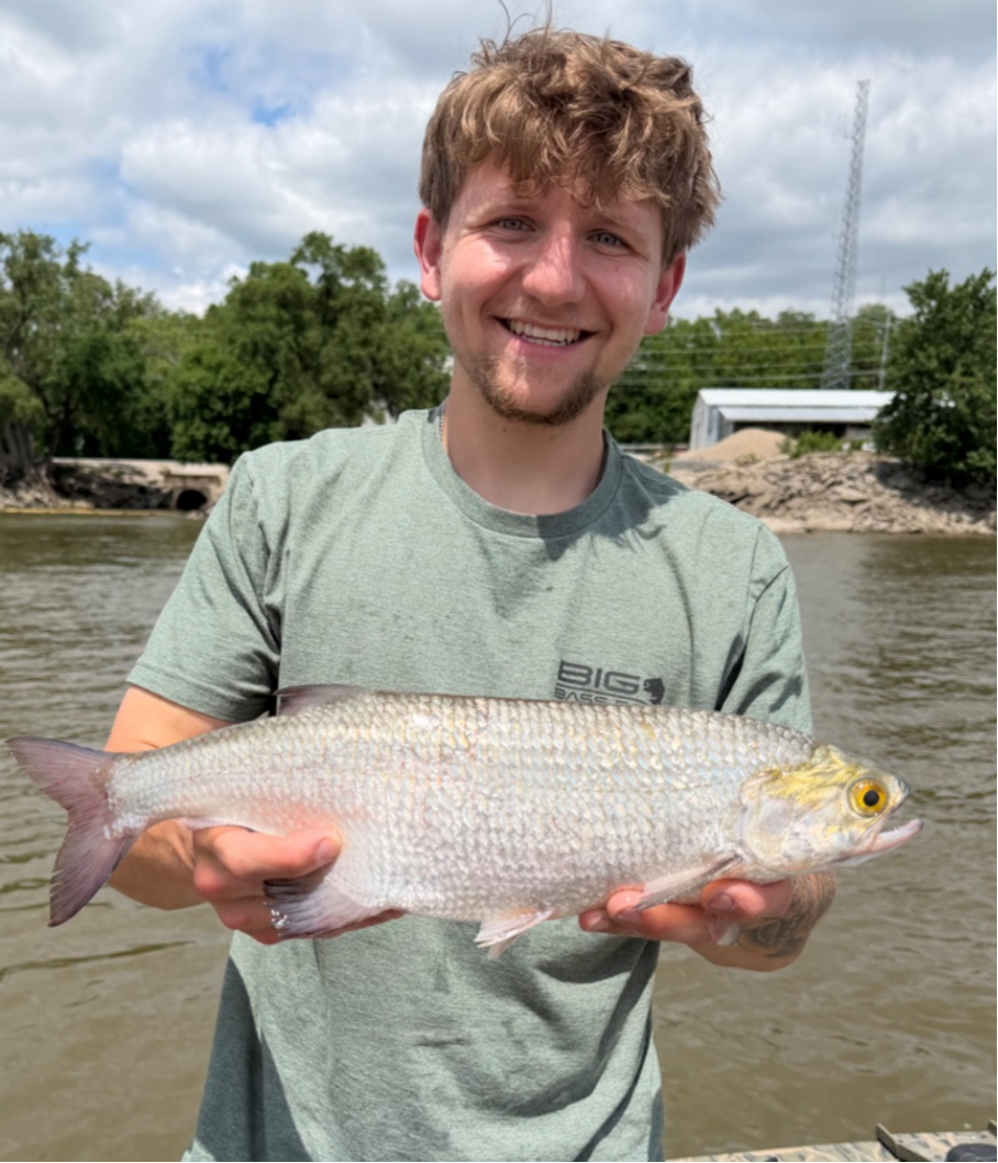 fish
