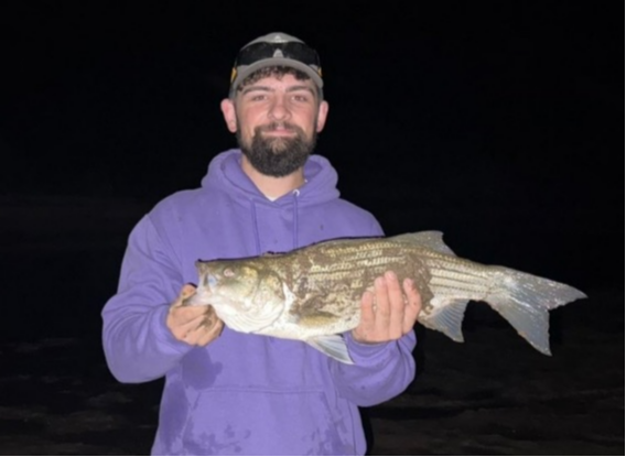 fish