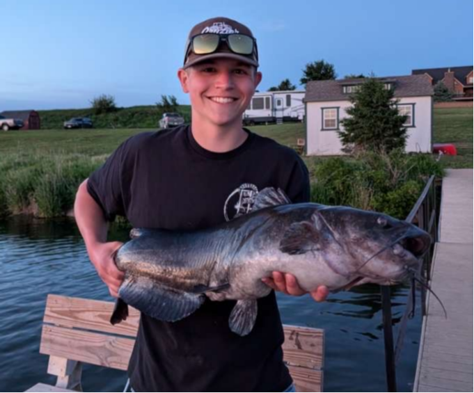 fish