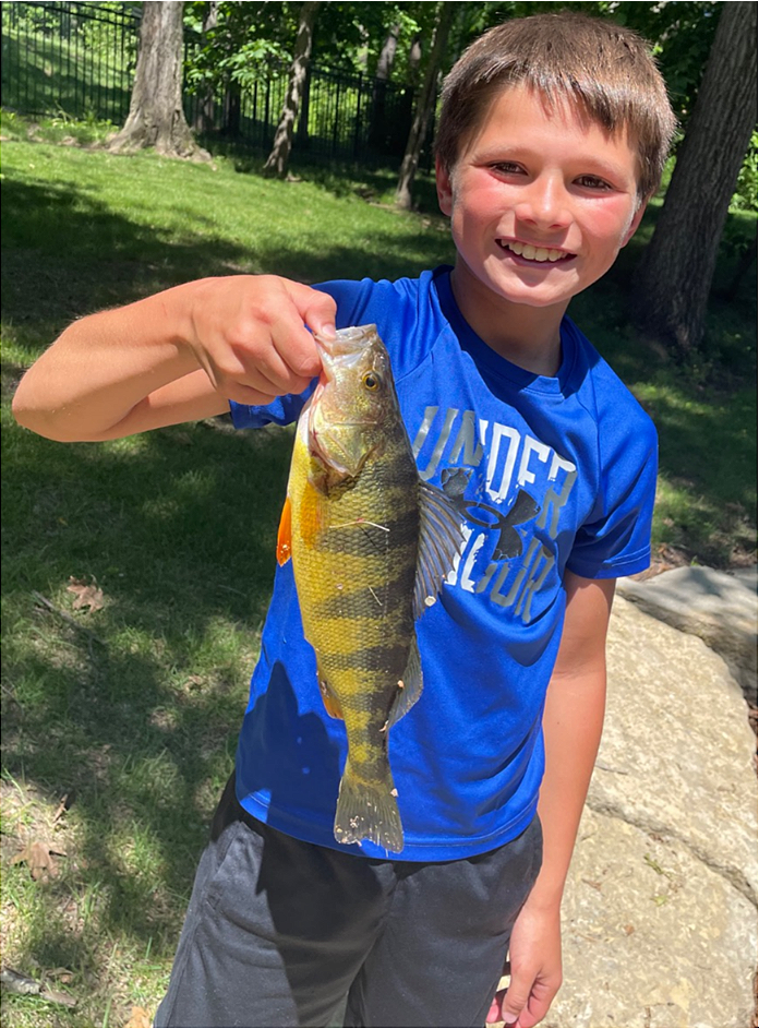 fish