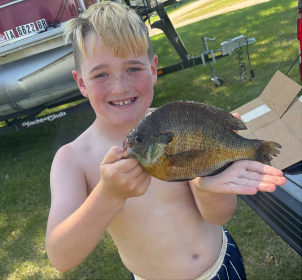 fish