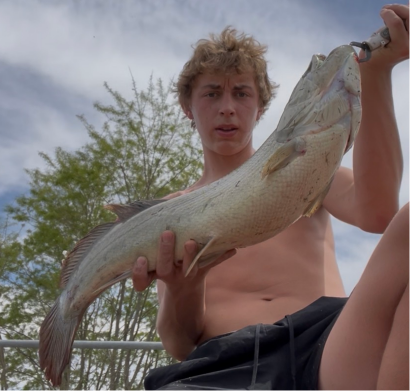 fish