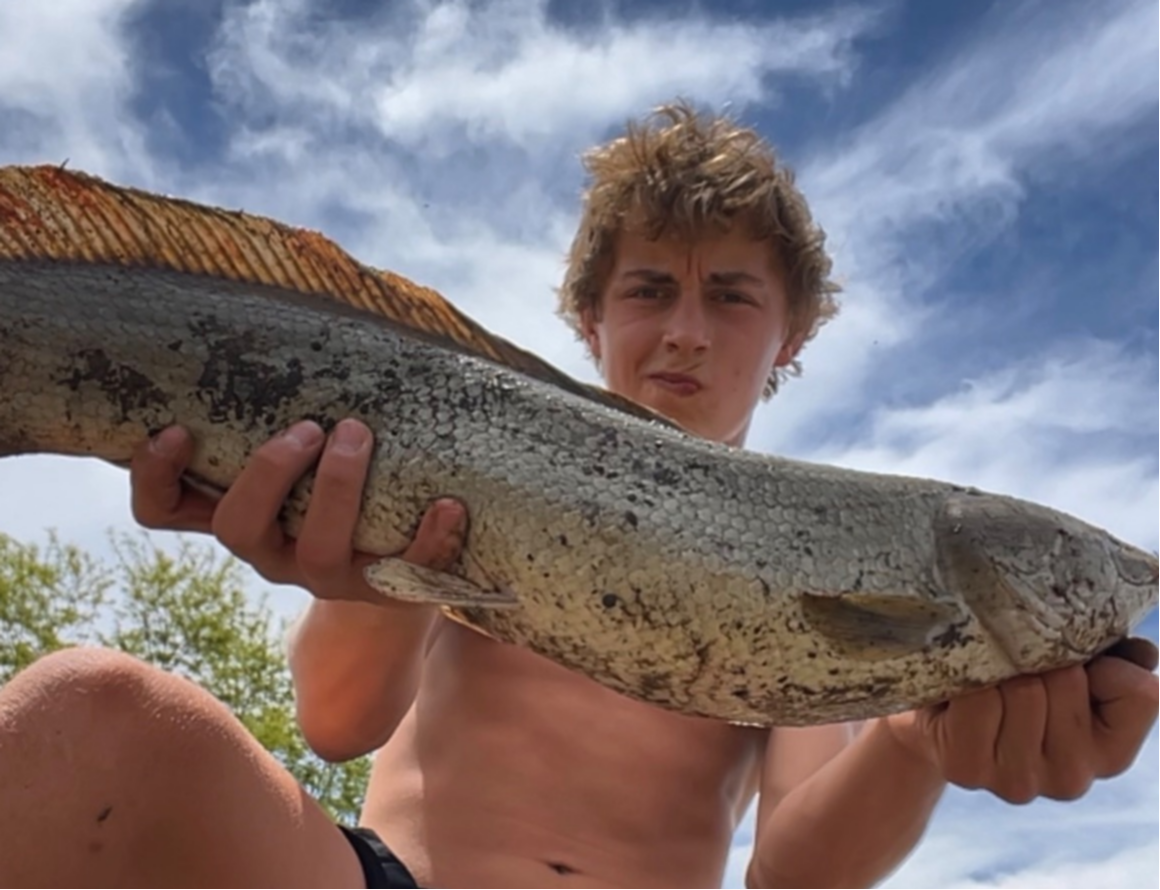fish