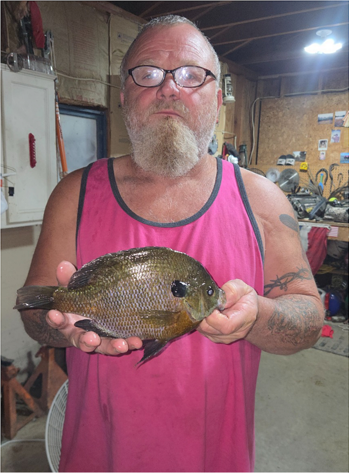 fish