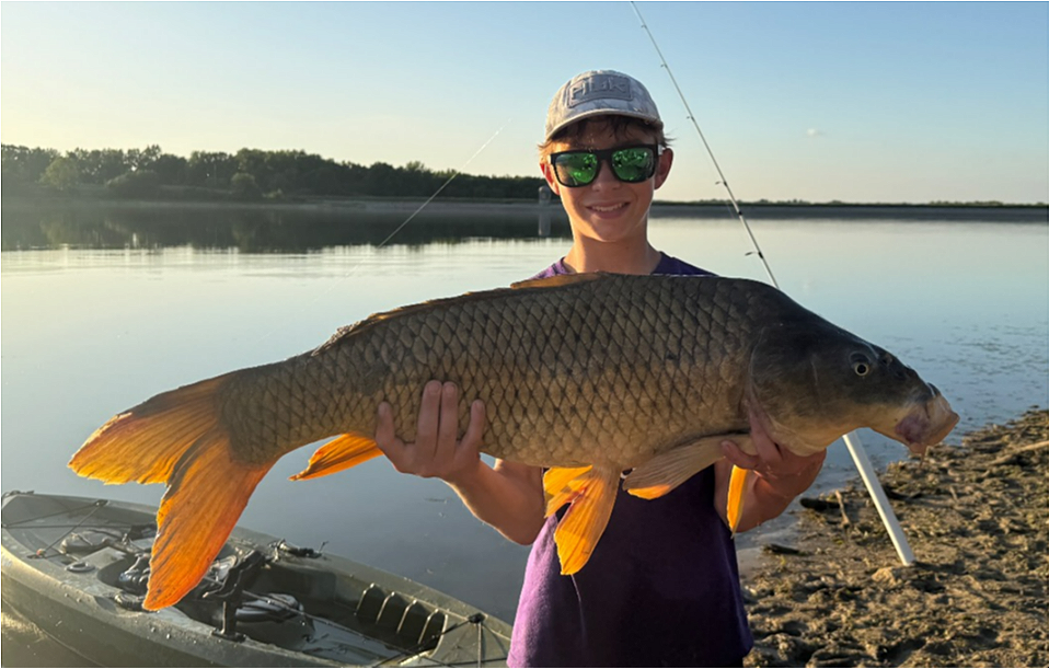 fish