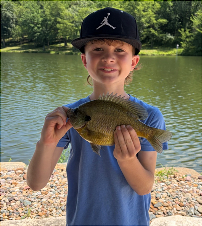 fish