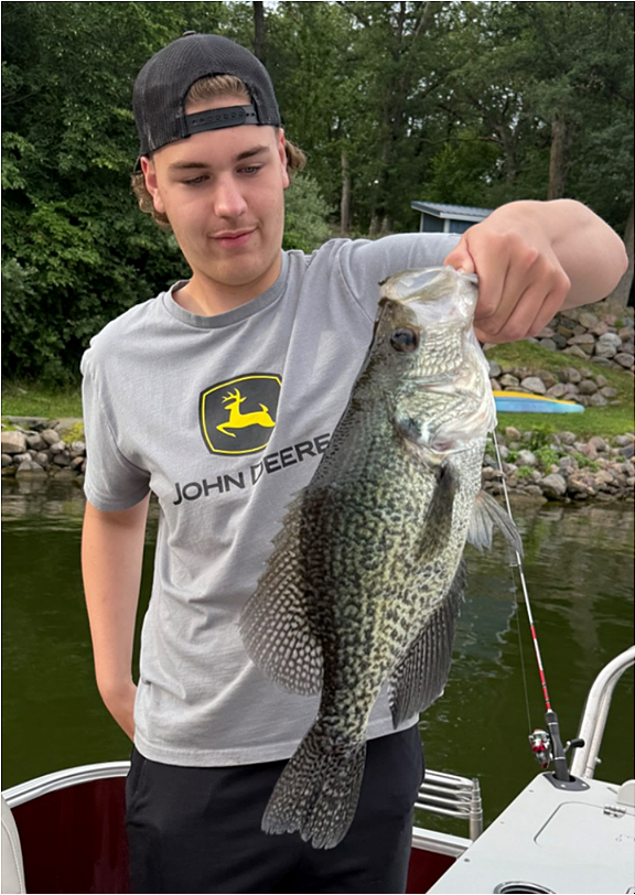 fish