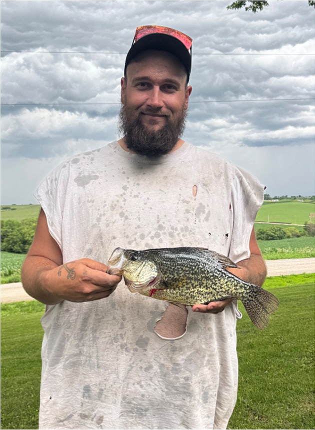 fish