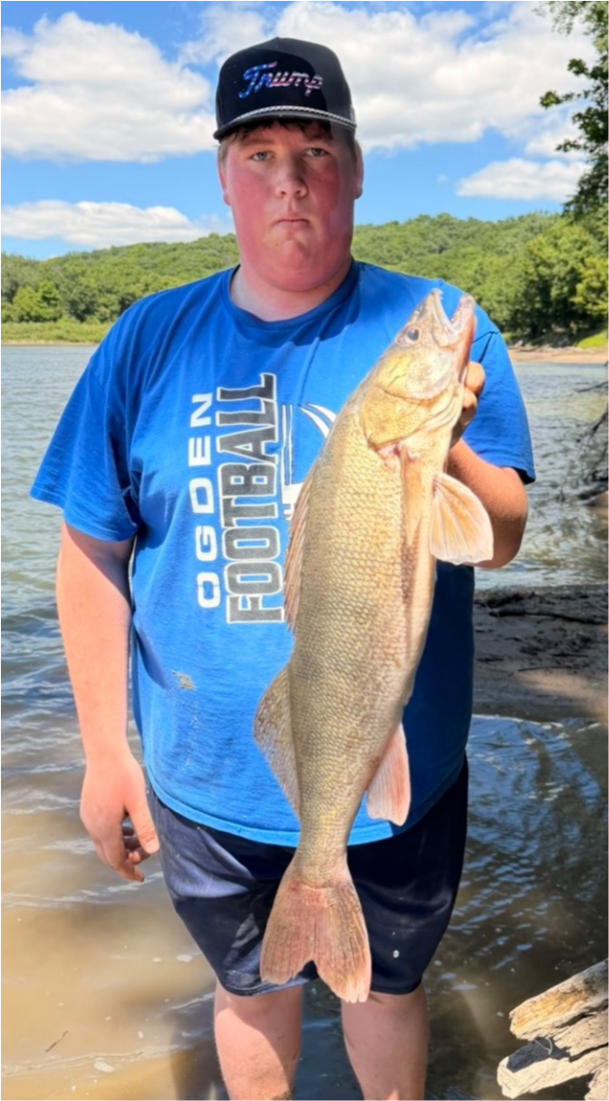 fish