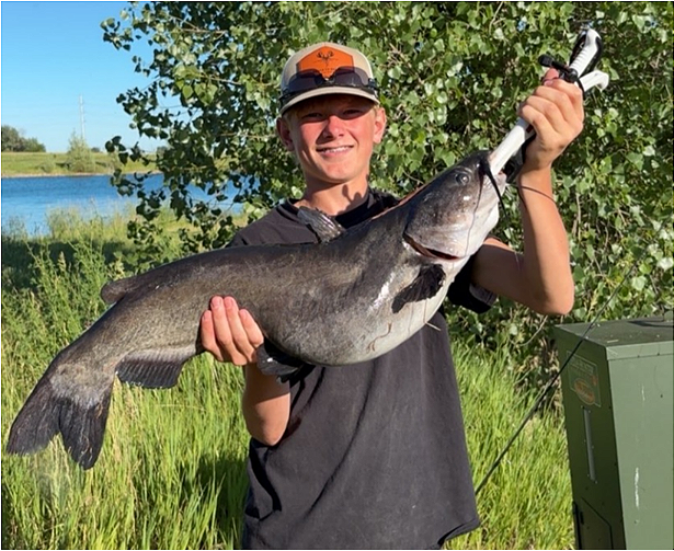 fish