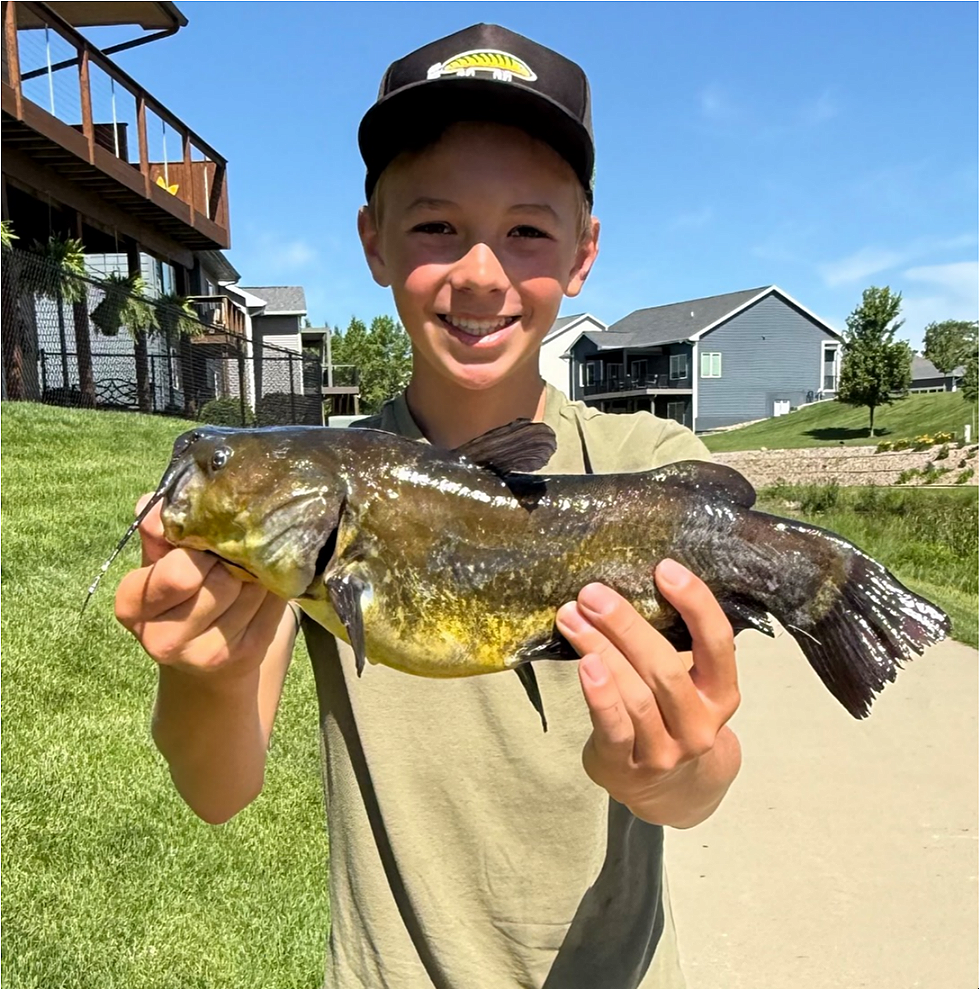 fish
