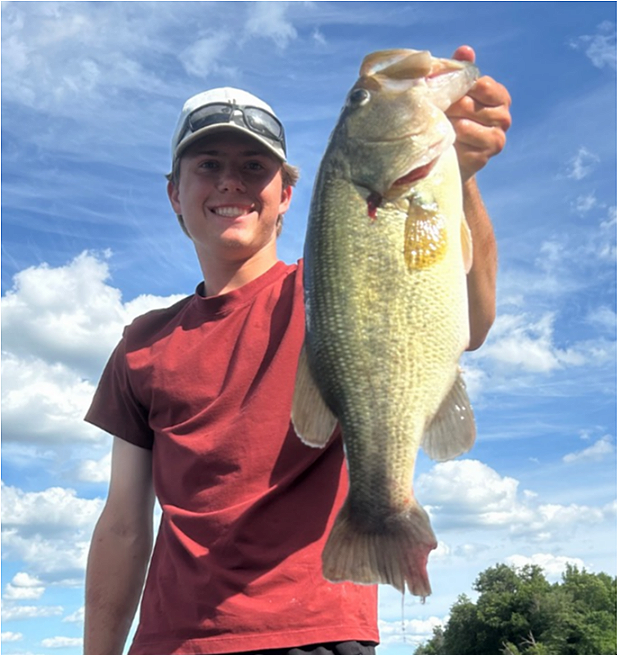 fish