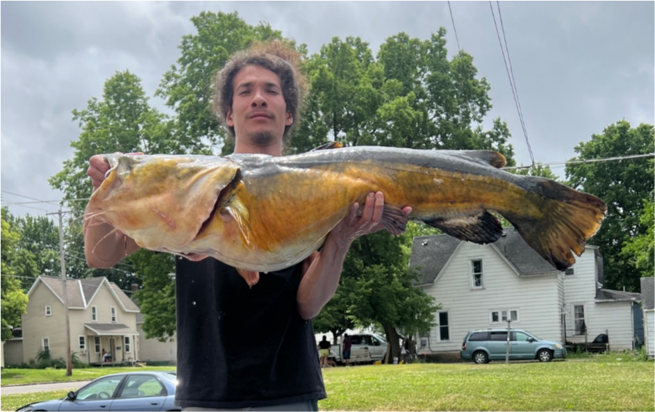 fish