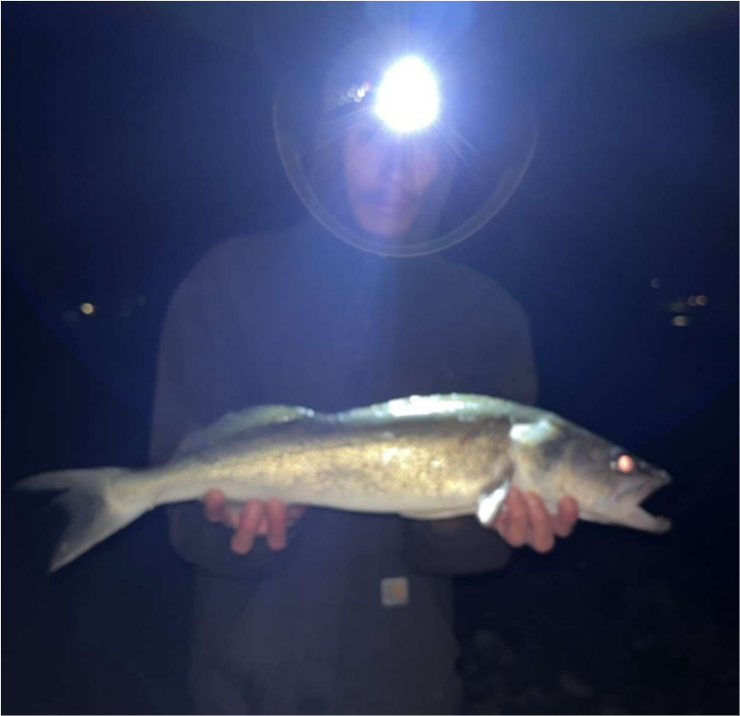 fish