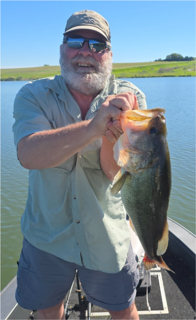 fish