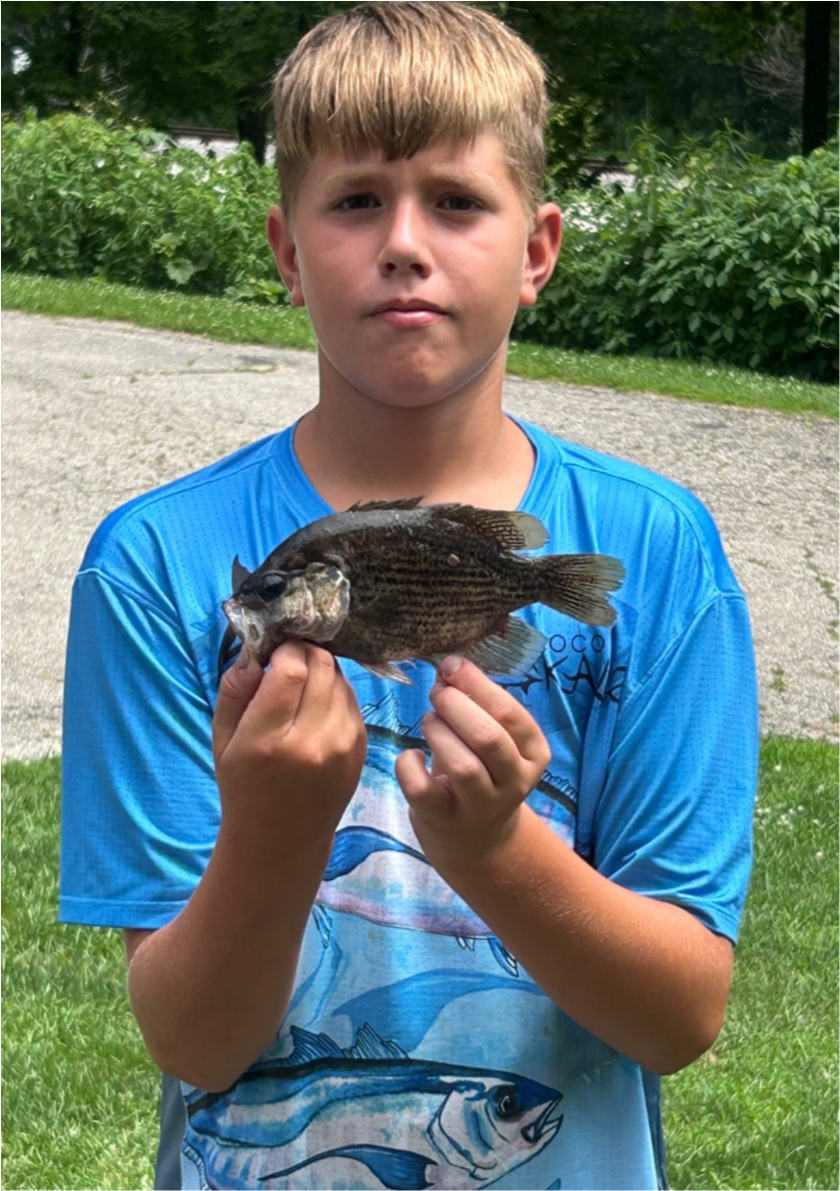 fish