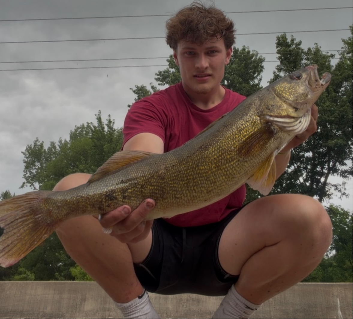 fish