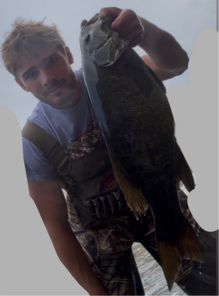 fish