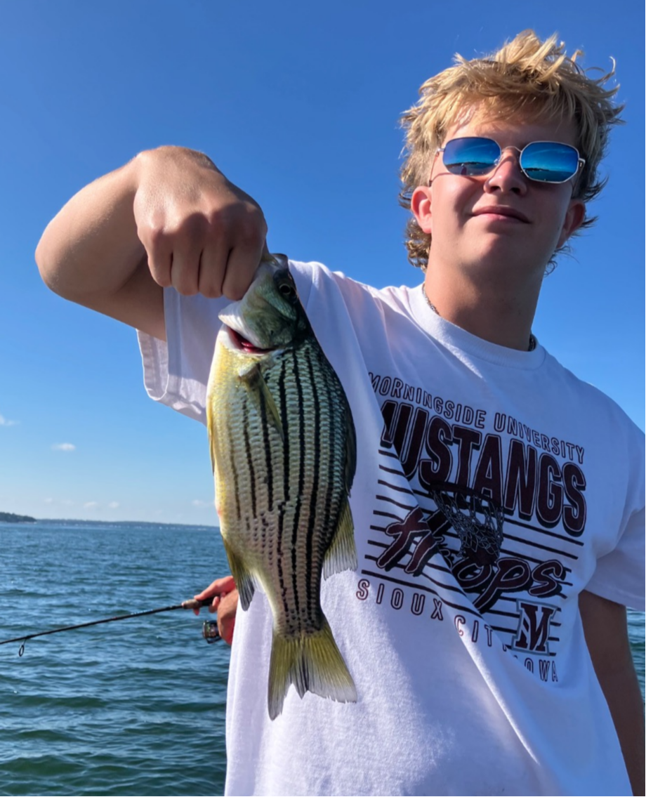 fish