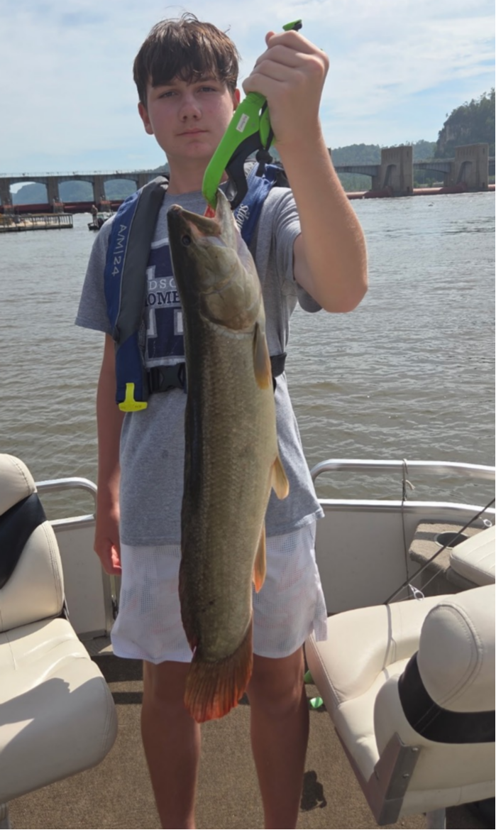 fish