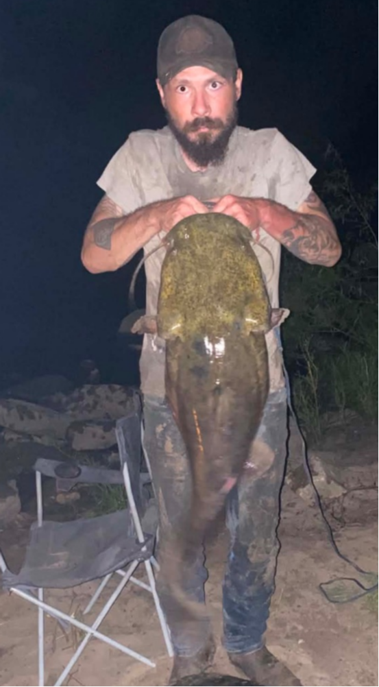 fish