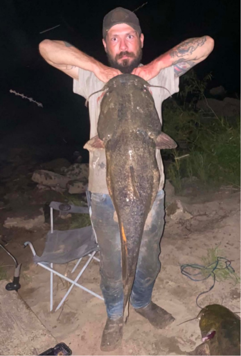 fish