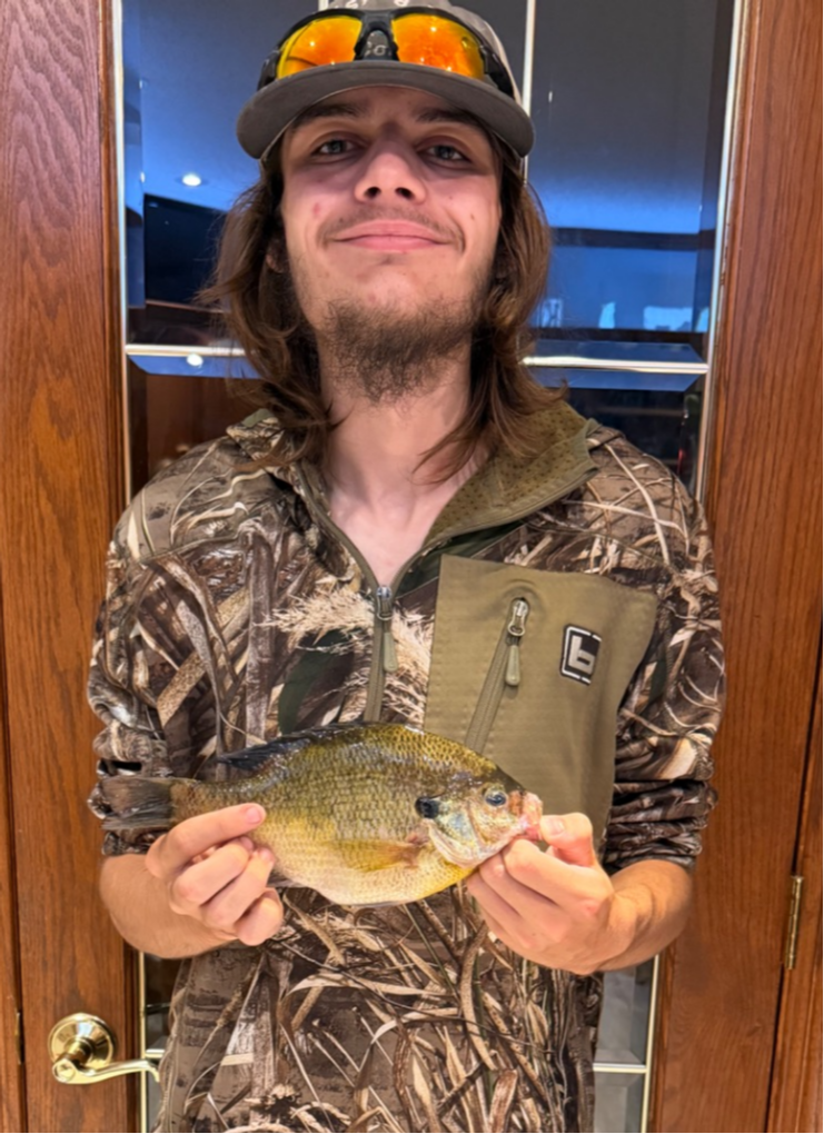 fish