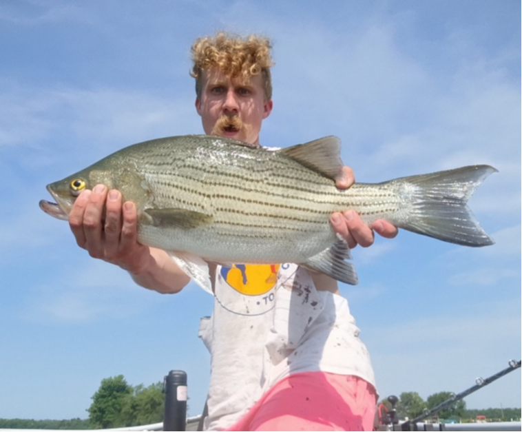 fish