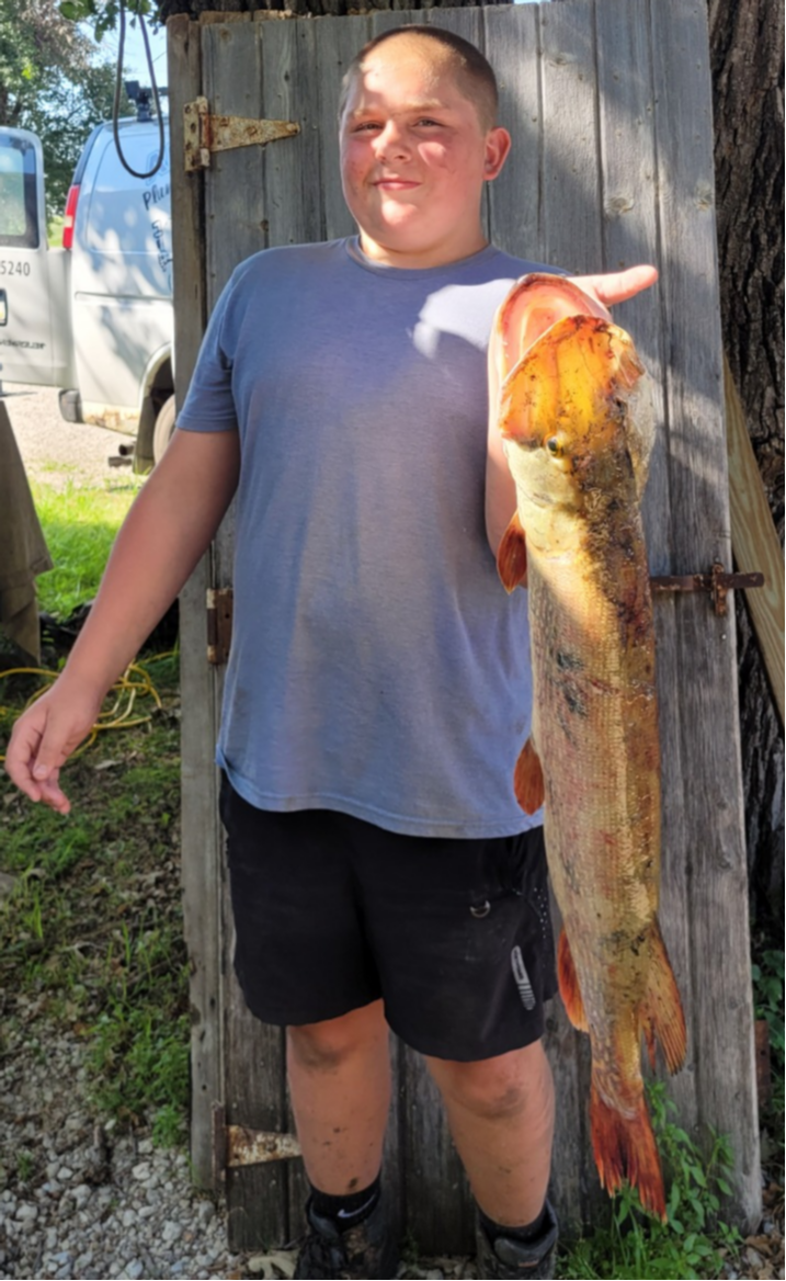 fish