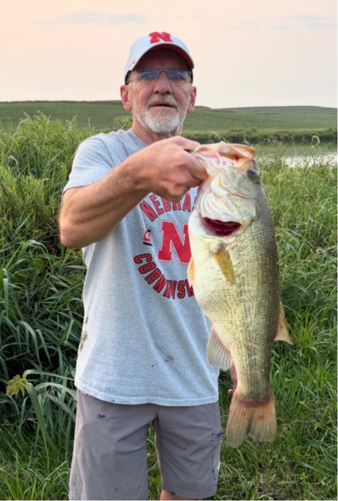 fish