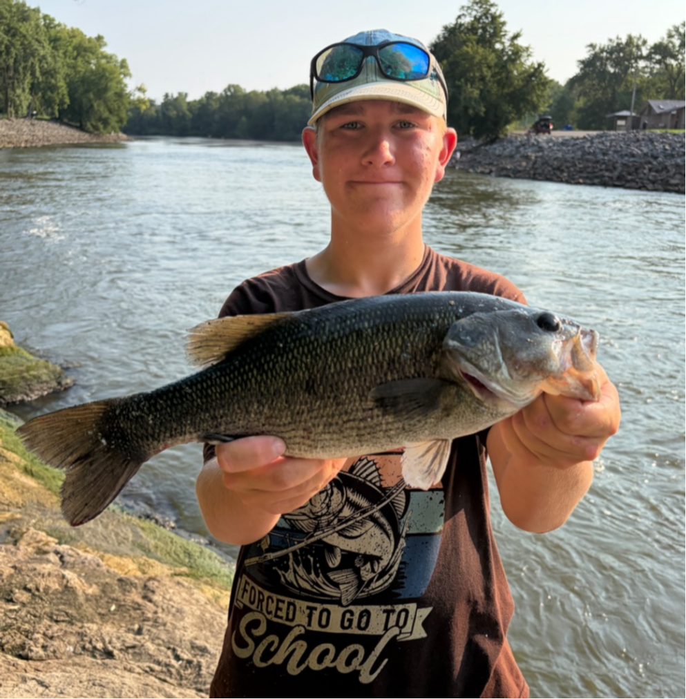 fish