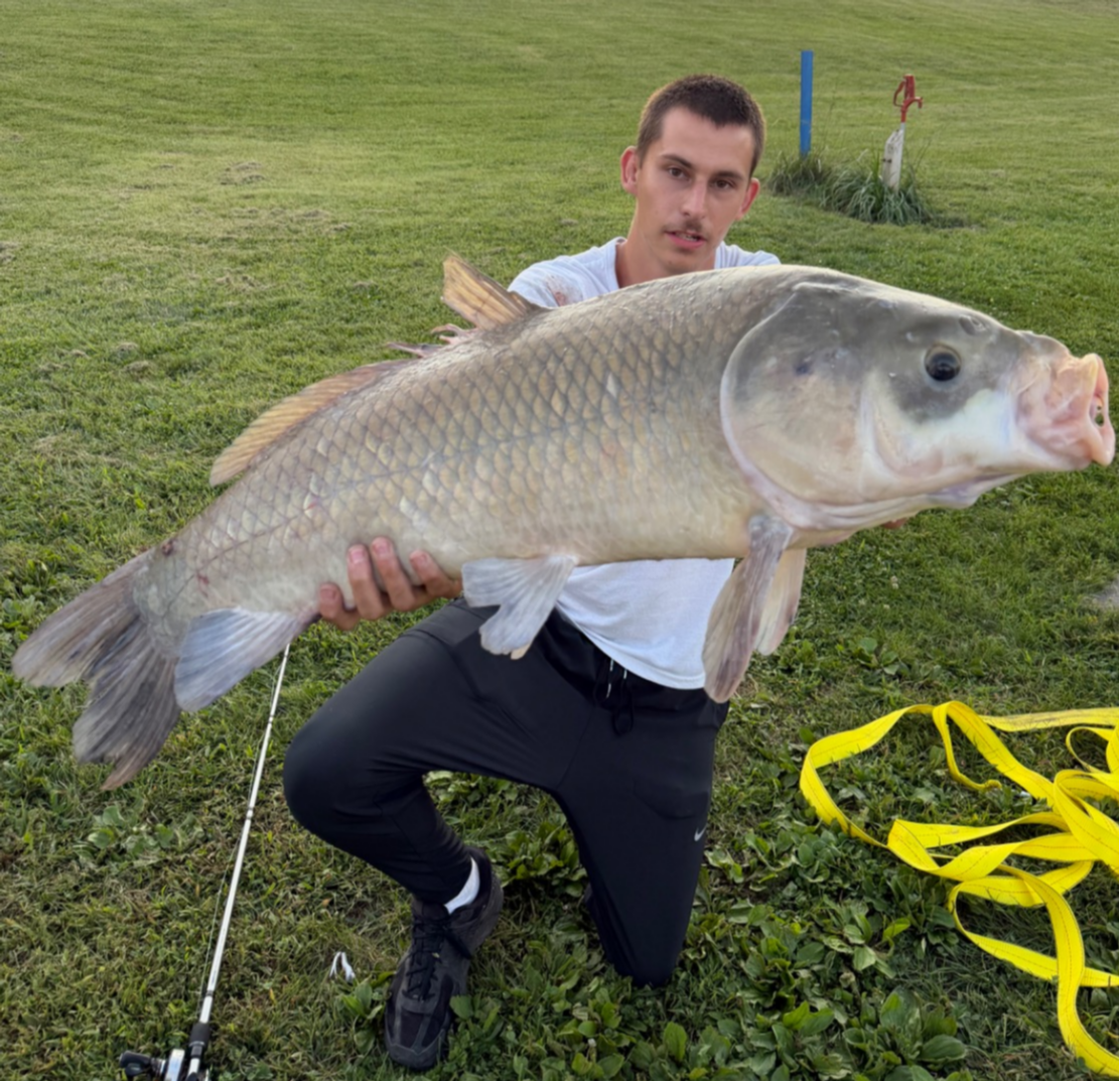 fish
