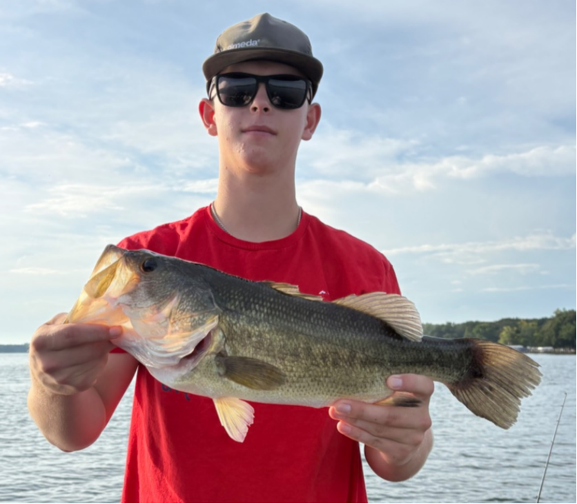 fish