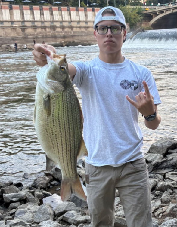 fish