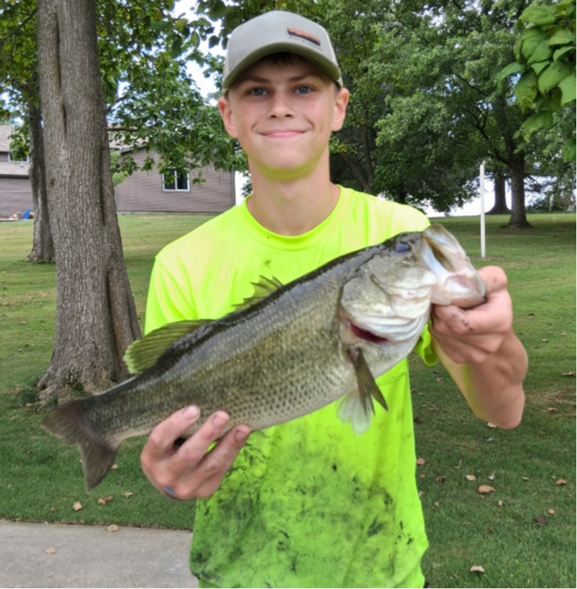 fish