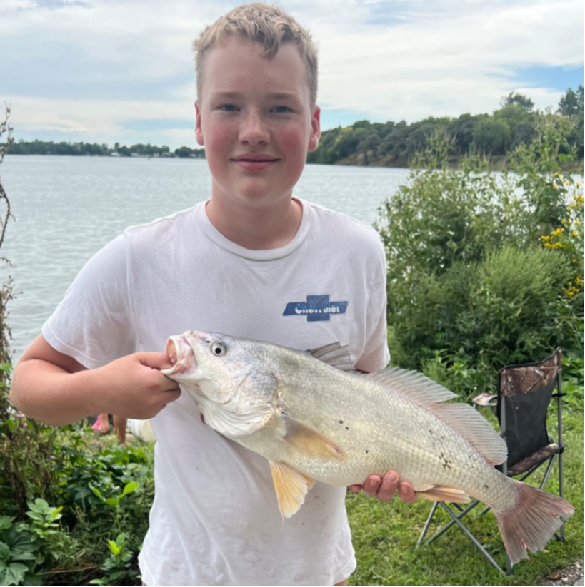 fish