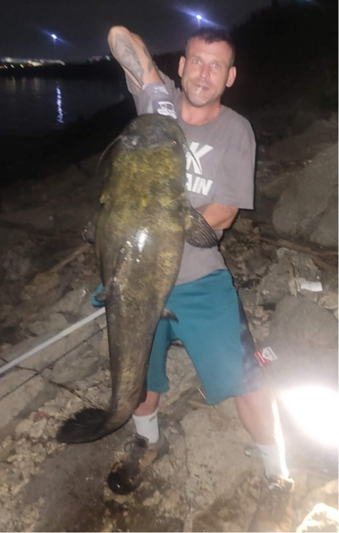 fish