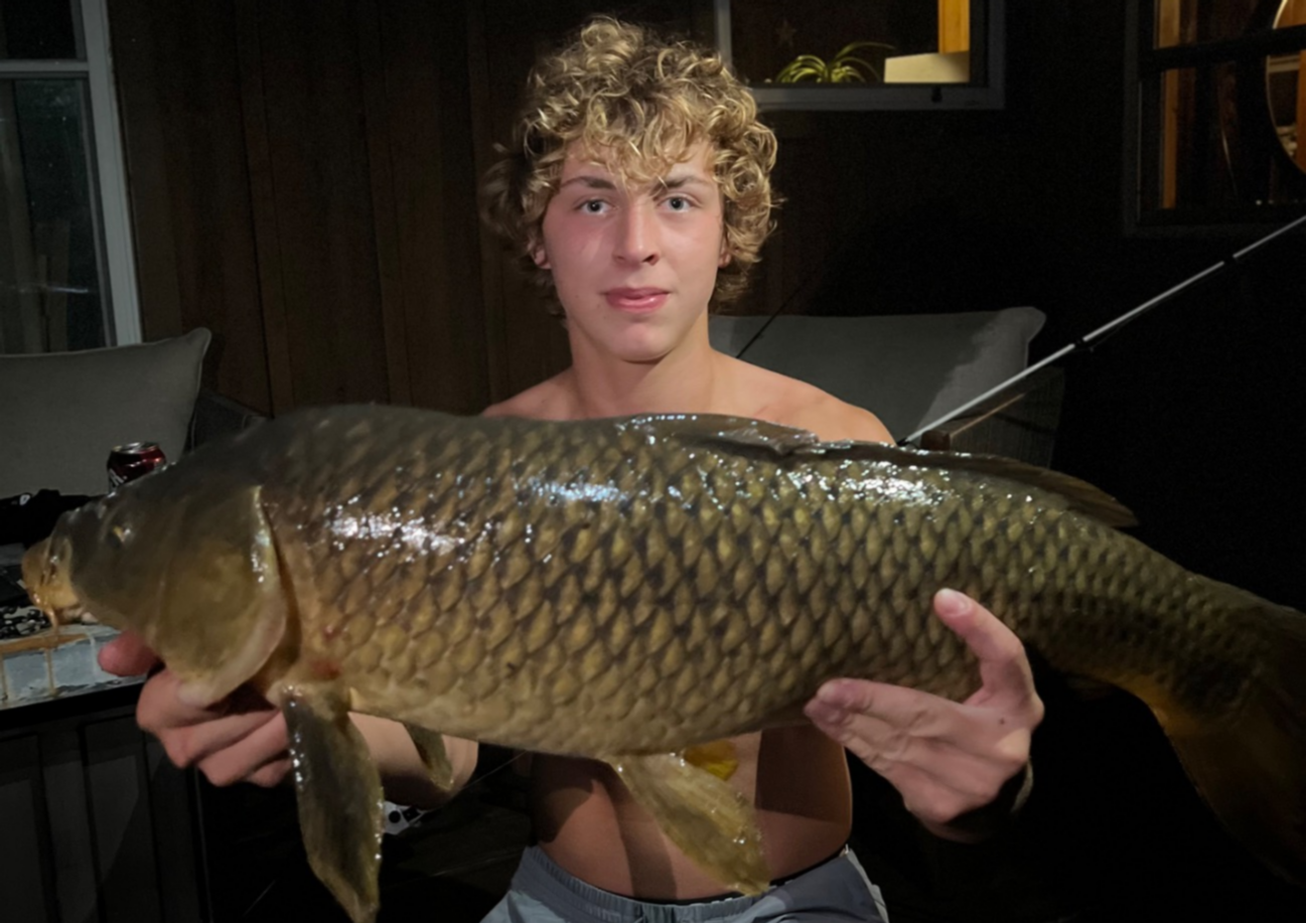 fish