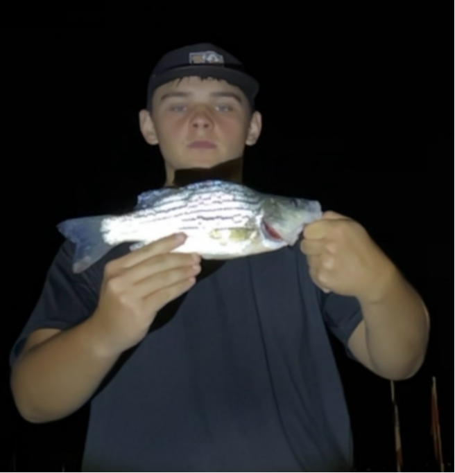fish