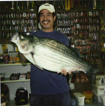 Youa Lovan's Wiper (Hybrid Striped Bass) 33inch, 08-29-05