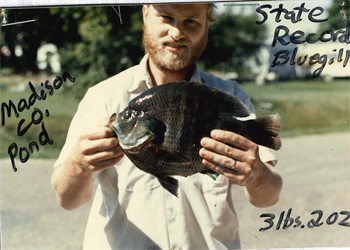 Phil Algreen's Bluegill 12.88inch, 07-01-86