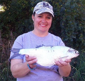 TRICIA STEINES's Mooneye 15.6inch, 10-23-16