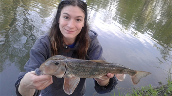 ASHLEY ROBELL's Northern hog sucker 16.4inch, 05-16-19