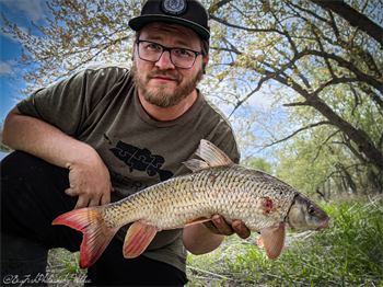 STEPHEN WILKIE's Shorthead redhorse 19.5inch, 05-02-23