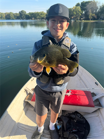 Reid Hendrikson's Green Sunfish 11inch, 09-21-24