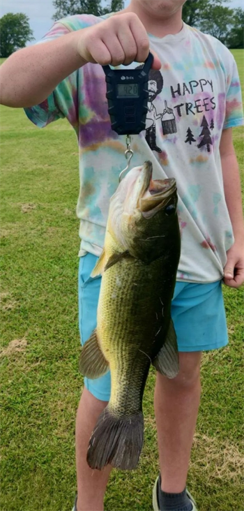 William's Largemouth Bass