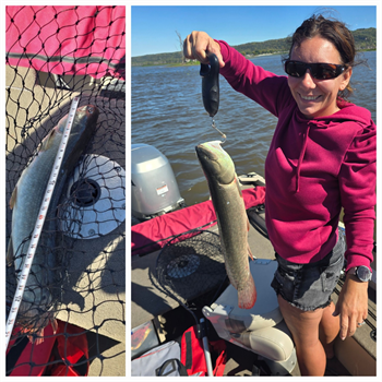 SONYA ANDERSON's Bowfin 28inch, 09-28-24