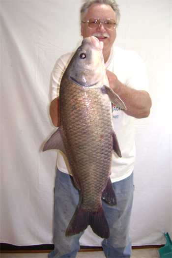 Eli Novotny's Smallmouth Buffalo 29inch, 10-21-24