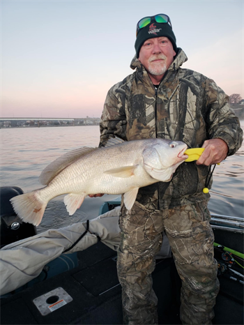 DANNY Stauffer's Freshwater Drum 28inch, 11-08-24